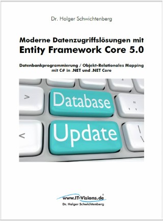 Buchcover Moderne Datenzugriffslösungen mit Entity Framework Core 5.0 (www.IT-Visions.de, 2020)